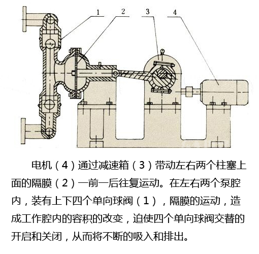 電動隔膜泵結構圖 電動隔膜泵結構圖
